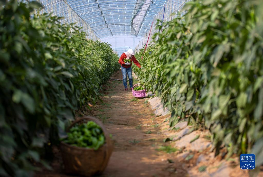 游戏中心正版下载